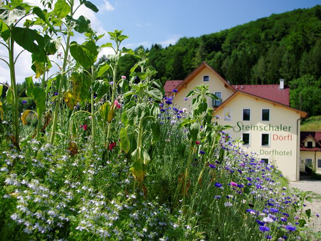 Dorfhotel von Norden