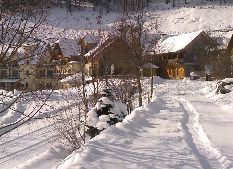 Datei:Winter Steinschaler Dörfl.jpg